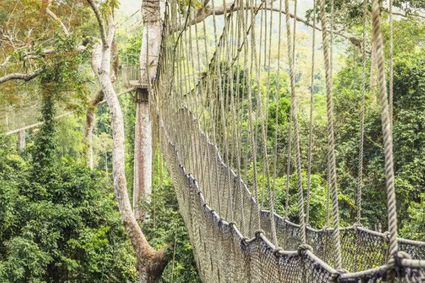 Kakum National Park